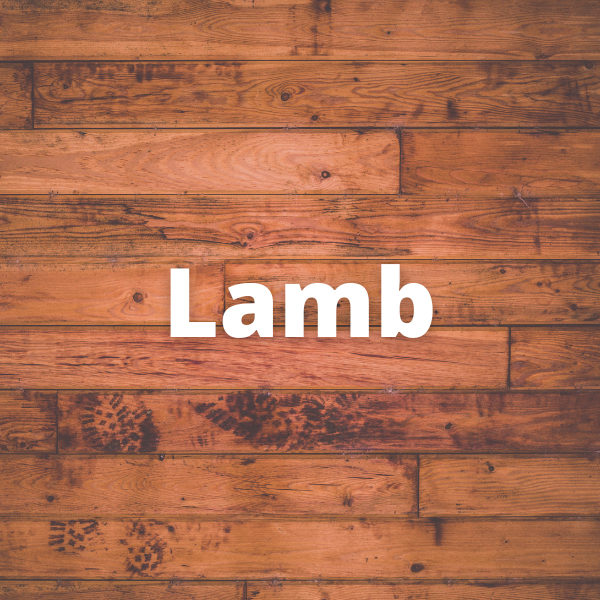 Lamb
