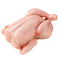Chicken (Whole)