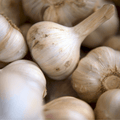 Garlic (Hardneck)
