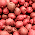 Red Potatoes