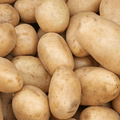 White Potatoes